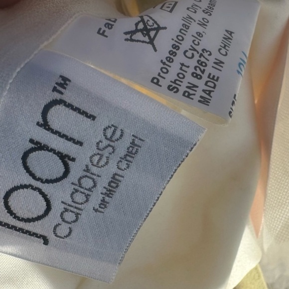 Joan Calabrese Organza Cupcake Dress - Picture 6 of 8